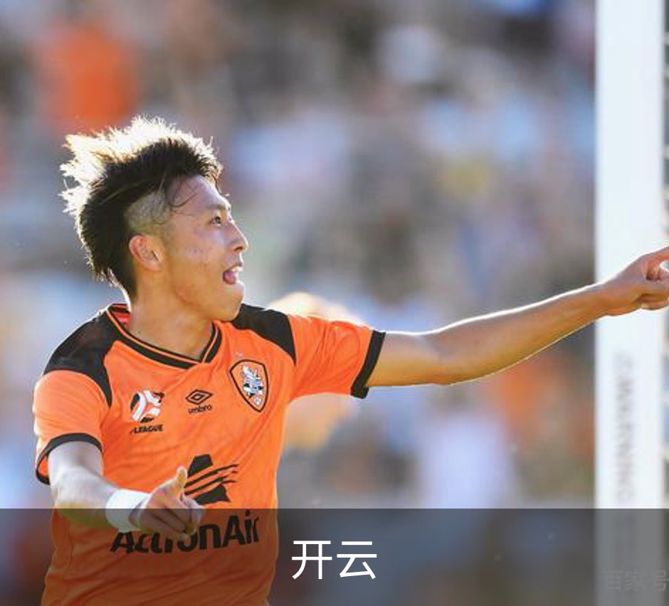 开云简介