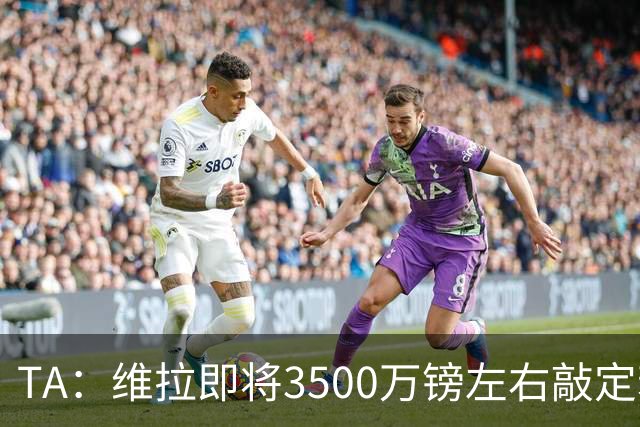 TA：维拉即将3500万镑左右敲定若昂·戈麦斯 并在谈租帕利尼亚